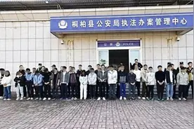 抓获166人！南阳警方打掉一特大婚恋交友诈骗集团图片