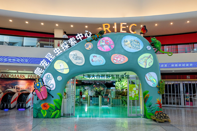 上海自然科普再添新坐标 东方明珠塔爬宠昆虫探索中心今日迎客
