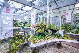 植物也吃“荤”！这里展出近120种食虫植物，捕虫方法揭秘图片