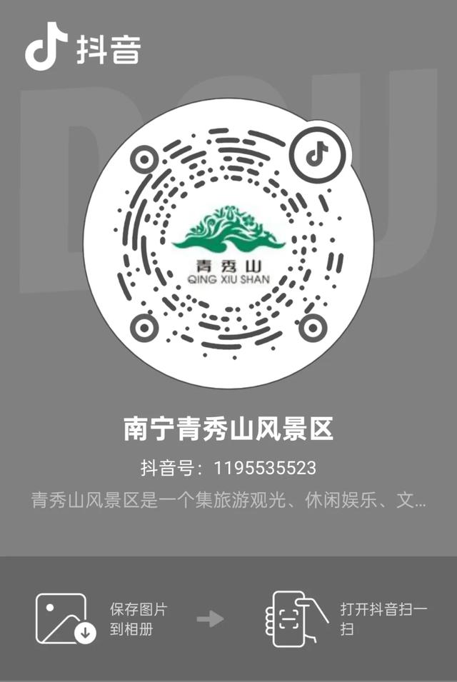 9.9元！2026年青秀山新春灯会开幕日门票限量抢！