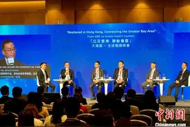 香港举行峰会探讨粤港澳大湾区医疗产业协同发展图片
