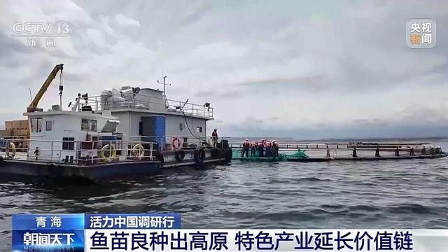活力中国调研行丨“一季火”到“四季新” 高原小城打造文旅新名片