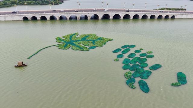 2025首届葡萄酒风土文化双年展在宁夏启幕