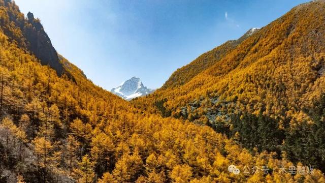 秋色秋景 | 走进童话世界里的木里