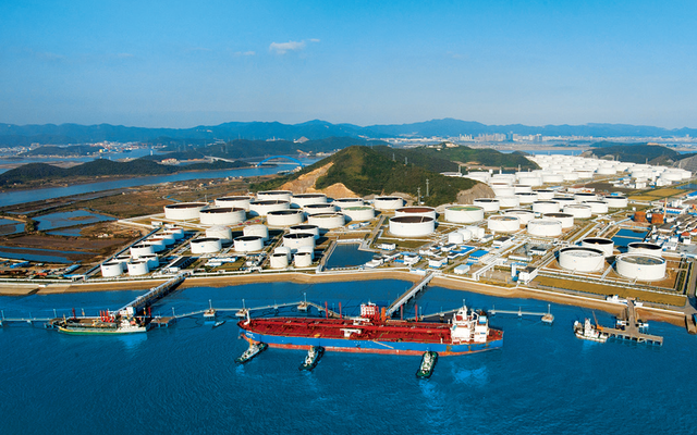 来自30个国家！他们齐聚舟山！