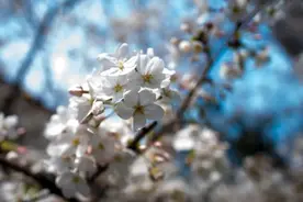 瑞金病例丨剖腹产后想去瘢痕却差点没命，瑞金团队拯救了她的“噩梦”图片