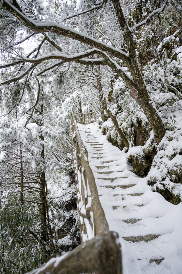 刚刚！凤凰山下雪啦！是真的！