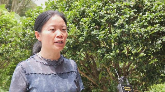紫云：清凉避暑游火爆 “凉资源”变身“热经济”