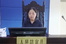 逐梦之旅——我是人民陪审员卢欣燕图片