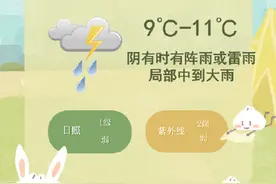 今天上海9℃-11℃，阴有时有阵雨或雷雨，局部中到大雨图片