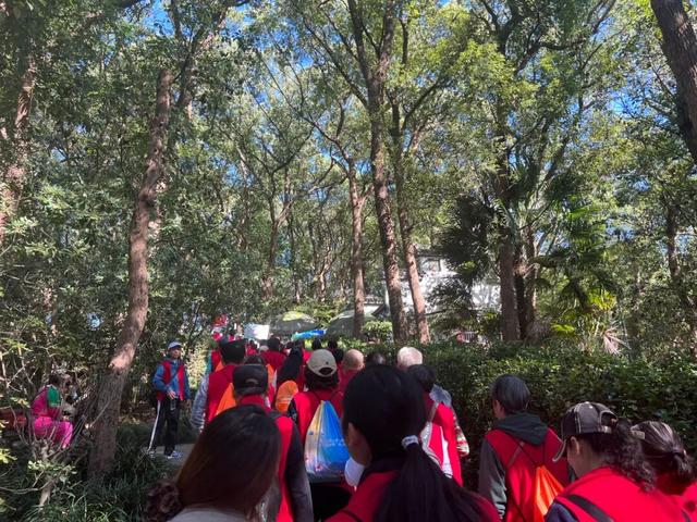 重阳节，700名老人齐聚“上海之根”，登高远望赏秋景