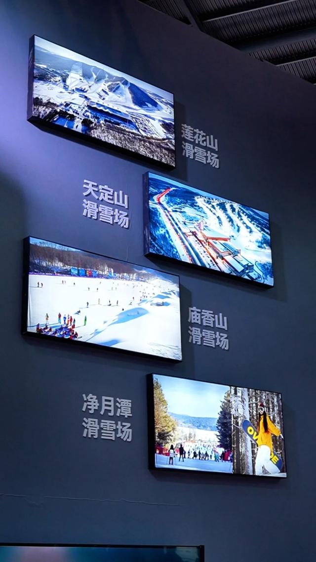 实在没想到！逛个展，竟然被安排了整个冬天！