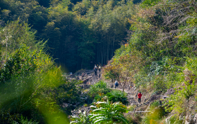 Hi走奉化① | 来栖霞坑，奔赴一场唐诗之路的千年约会吧！