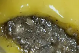 汤圆吃出根头发，商家退货并支付十倍赔偿图片