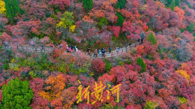 霜降将至！中国五大红叶观赏地石门坊迎“全红时刻”，“齐鲁红叶之冠”尽显“当红不让”