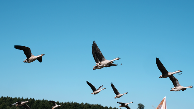 玩冰嬉雪！是时候了！