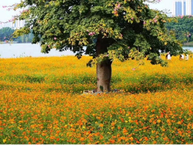全网一致认定：最短的秋天，才是最贵的奢侈品