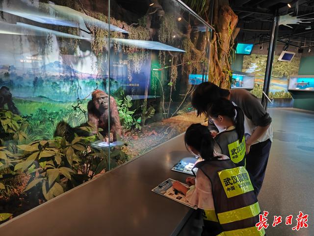 从“水秀”爆满到夜赏长江，武汉凭“夜游IP矩阵”跻身暑期全国热门目的地