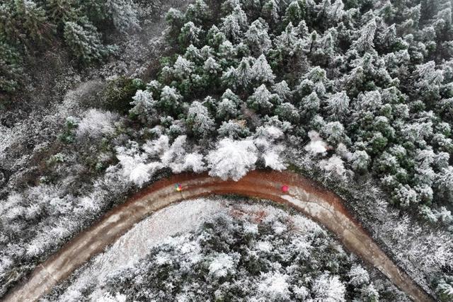 降温降雪 黔江高山地区迎来雾凇美景