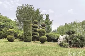 城市绿化：“靓”出古城新韵图片