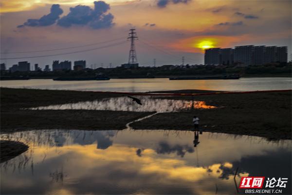 推窗何必远行？益阳十洲公园，坐收泼墨晚霞的天地馈赠