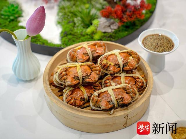 到苏州市相城，赴一场秋日之约