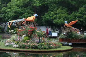 杭州“五一”旅游热度居全国前十 演唱会和数字游线或引新热潮图片