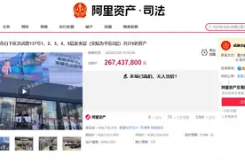 2.6亿元易主失败！南京国美电器商场流拍图片