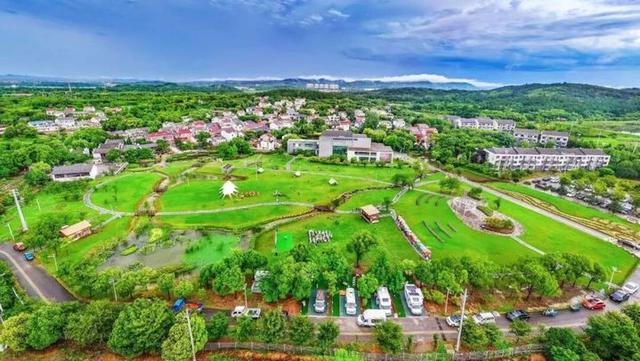 南京这两棵古桂花树，香了整个村子！