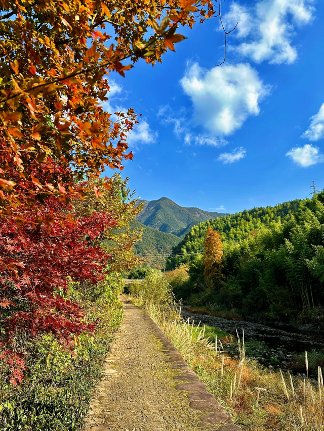15日畅游长三角“随心乘”！怎么玩？有哪些线路？“薅羊毛”攻略来啦～