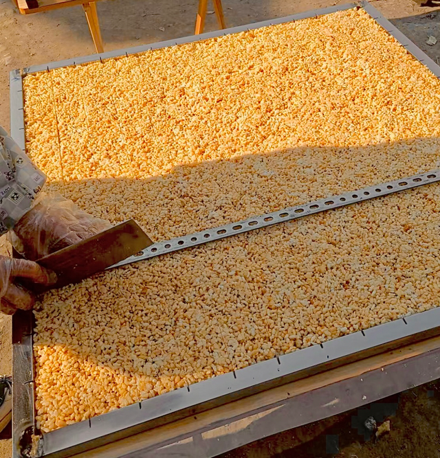 百色田东，“中国芒果之乡”不止芒果！