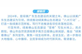 高明：一座废弃矿坑的重生｜绿美看佛山图片