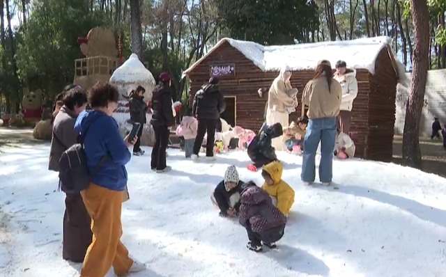 “南国雪乡”出圈！浙江冰雪经济点燃长三角冬日激情