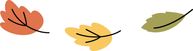 域见上海·域见奉贤｜海湾国家森林公园最新红杉实拍已送达，还有更多攻略等你来看！