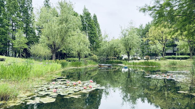 环境绝了！中式园林、水镜湖泊、欧式草坪、下沉式花园……这里都有！