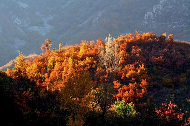 卷了一周的北京白领，周末扎进天津县城