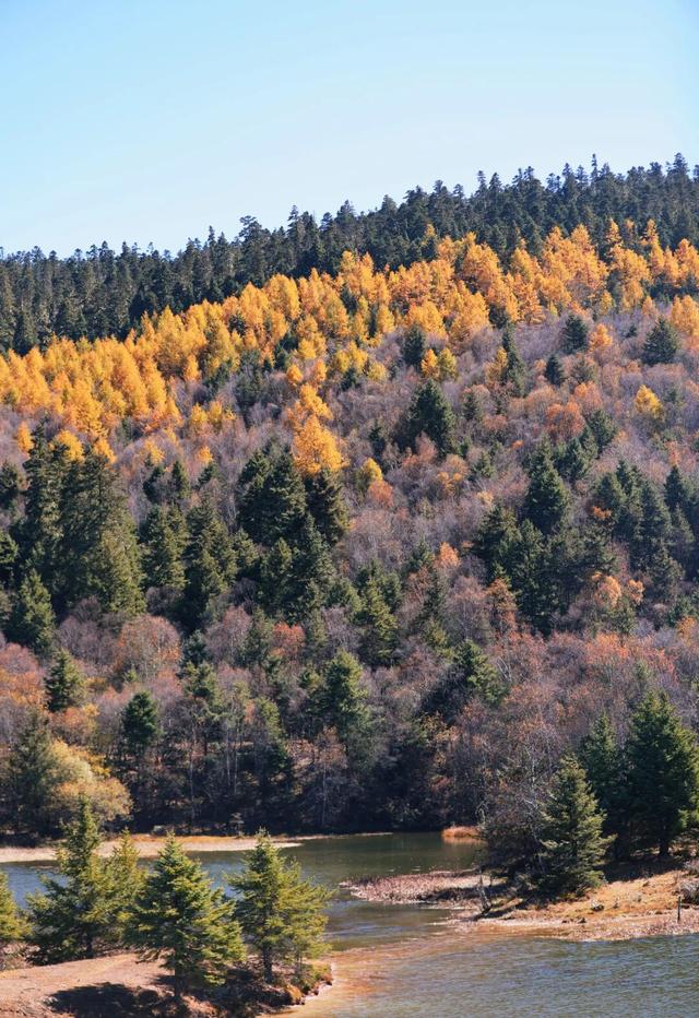 开通两周年！这趟民族风动车别错过！