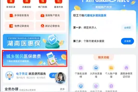 重要！湖南参保职工使用个账代缴居民医保费操作指南图片
