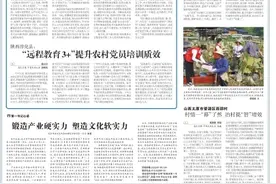 央媒观豫丨河南漯河市郾城区：“五星”支部创建引领和美乡村建设图片