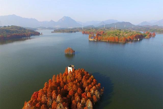 “绿水青山”圈粉各地游客 兰湖生态游受青睐