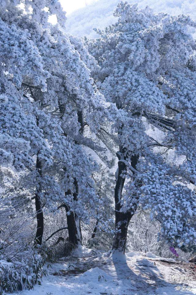 晚潮｜桐杭岗今冬第一场大雪