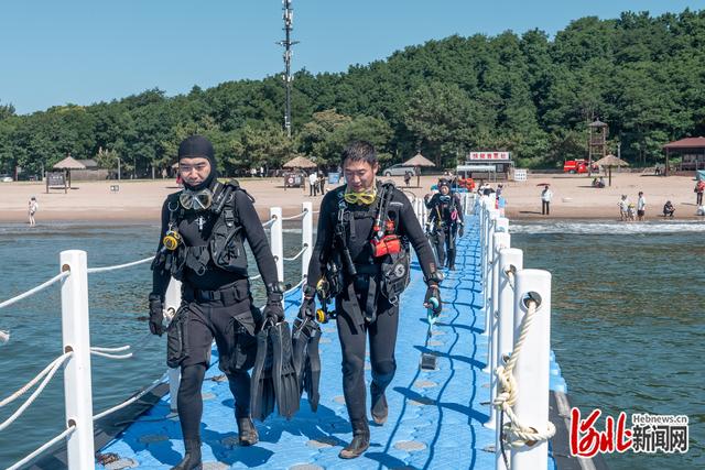 镜头里的故事丨这里有群“海底清道夫”