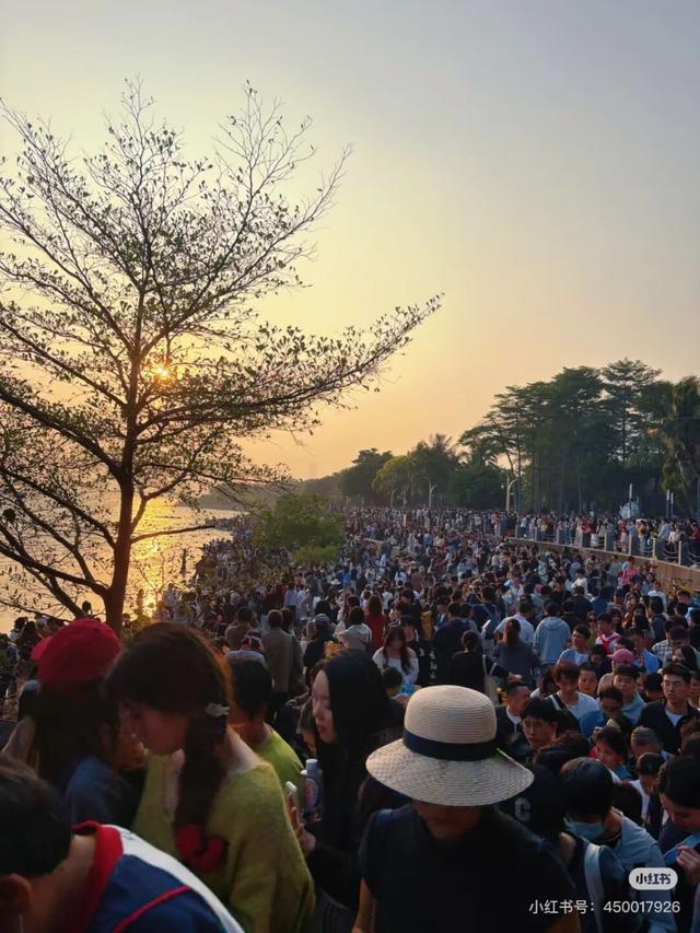 “春运都没这么多人”！深圳知名景区刷屏，网友纷纷“劝退”！