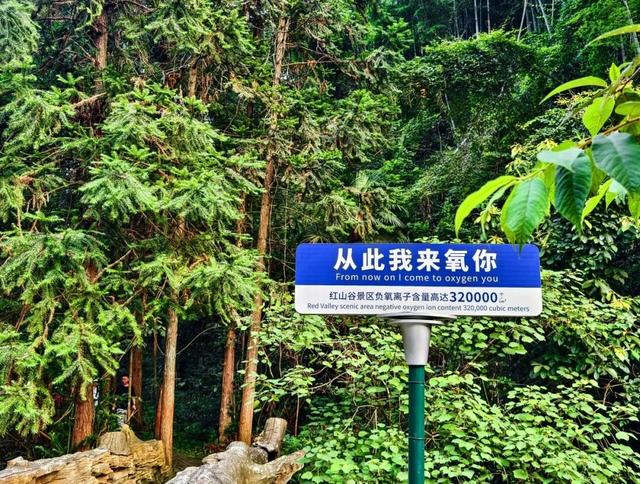 12月1日起，红山谷景区免门票3个月!