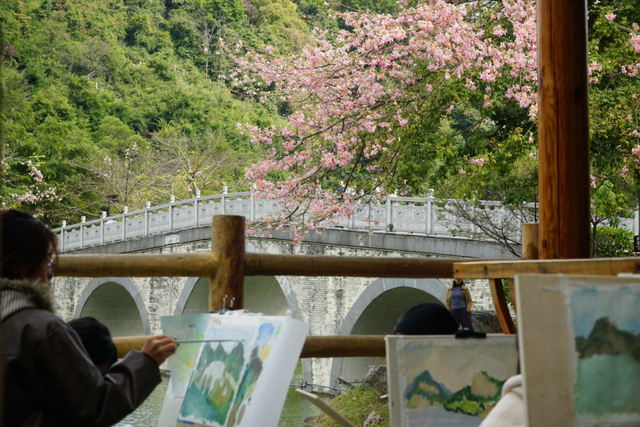 初冬的风里竟有了粉色的“味道”！就在龙潭公园里~