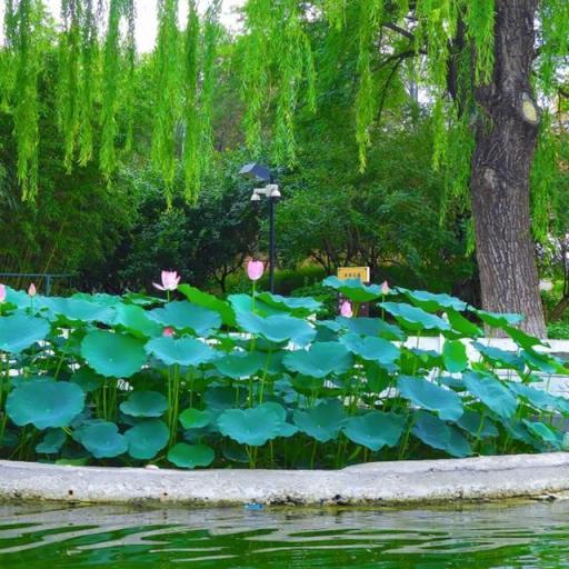 惊喜连连！北京夏天玩法上新！（1）