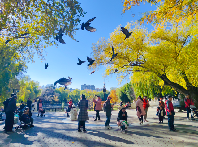 太美了！漫步南长河，邂逅满途风光