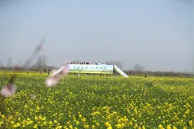 光山：“赏花经济”鼓起村民“腰包”图片
