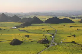 春日“顶流” 上亿亩油菜花与背后的村庄图片