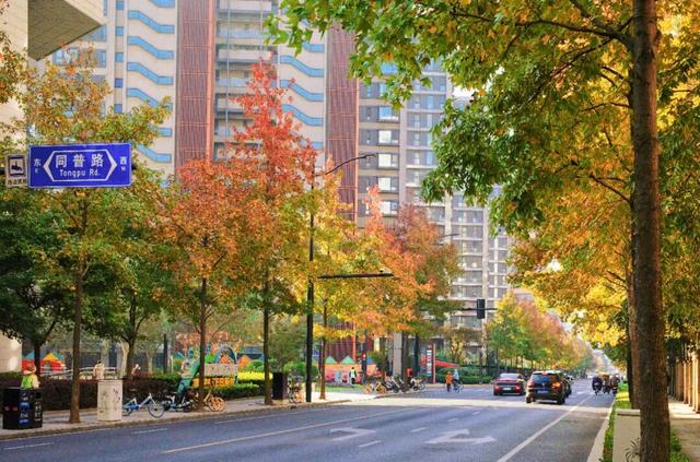 秋冬限定的普陀，美到让人流连忘返，你还不来打卡吗？